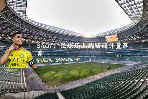 SAOT:足球场上的空间计量革命